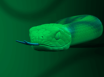 Small screenshot 3 of zz Snake